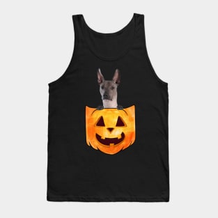 Xoloitzcuintli Dog In Pumpkin Pocket Halloween Tank Top